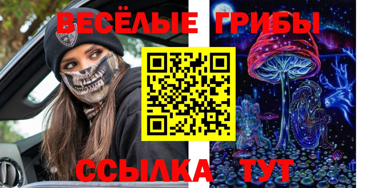 Касимов  купить закладку  Вход с VPN  Галлюциногенные грибы прущие грибы 